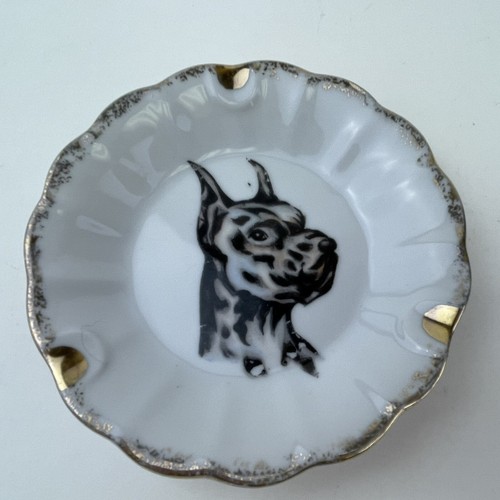 Vintage boxer great dane dog - vintage,
